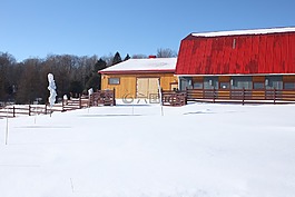 牧場,農(nóng)場,冬天
