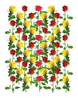 玫瑰花紋圖案,玫瑰,背景圖像