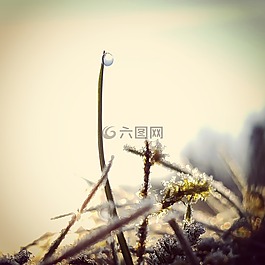 性質(zhì),弗羅斯特,凍結