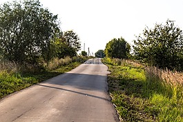 農村,路,荒野