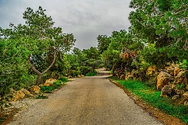 路,農(nóng)村,自然