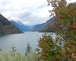 美麗,英國(guó),哥倫比亞