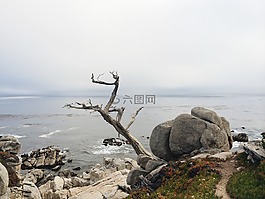 海洋,海,巖
