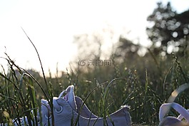 德累斯頓,易北河,太陽
