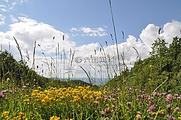 景觀(guān),valmarecchia,天空