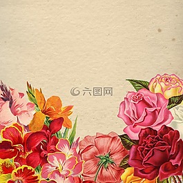 花,花的,花束