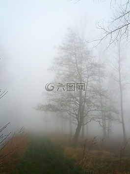 霧,性質(zhì),景觀