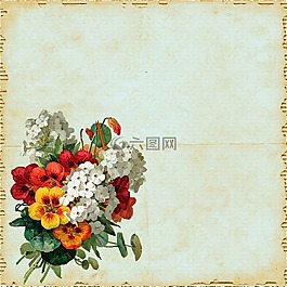 花,花的,花束