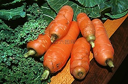 胡蘿卜,蔬菜,有機