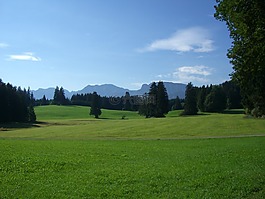 阿爾高,山全景圖,草地