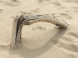 海灘,木材,紋理