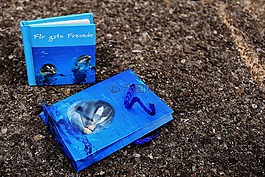 本書,賀卡,朋友