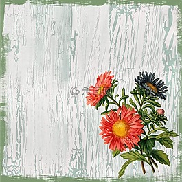 花,花的,花束
