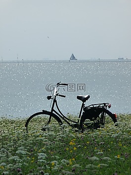 自行車,海,夏天