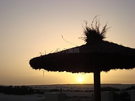 日落,海灘,陽傘