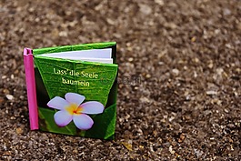 本書,賀卡,放松