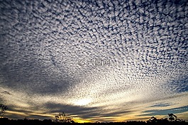 天空,云,日落