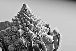 romanesco,蔬菜,菜花