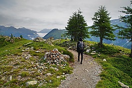 冒險,草,徒步旅行