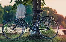 自行車,草,葉子