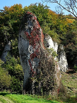 开国元勋,波兰,国家公园