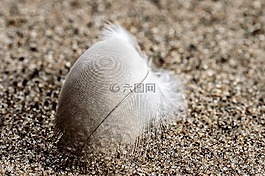 春天,白,沙