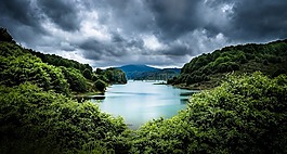 湖,森林,性質