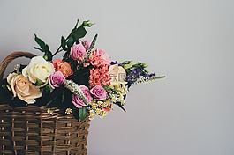 籃,盛開,開花