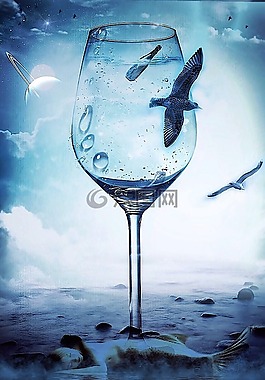 海鷗,海,美人魚