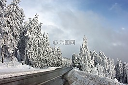冬天,雪,寒冬