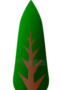 樹,森林,植物