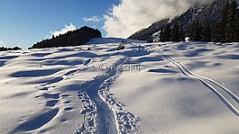 雪,冬天,寒冬