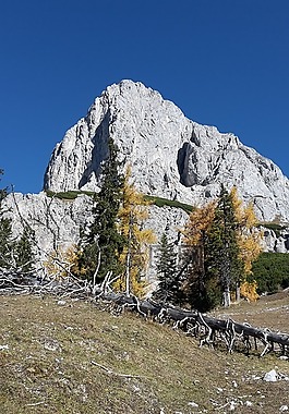 山,秋季,高山
