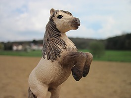 schleich,小馬,上升