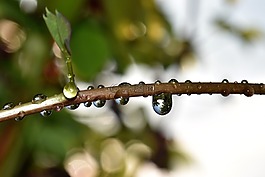 雨滴,性質(zhì),綠色