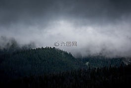 霧,景觀,薄霧
