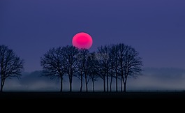 紅色,太陽,霧