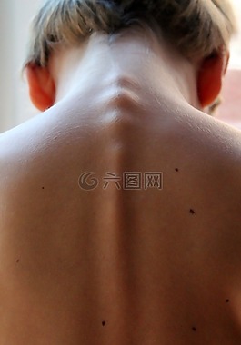 脊柱,頭發,返回