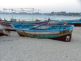突尼斯,漁夫,海