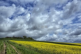 字段,農(nóng)業(yè)的,云