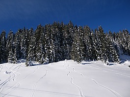 雪,滑雪,跟踪