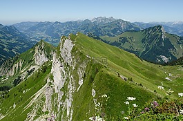 景观,瑞士,山