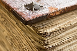 書籍,檔案,老