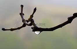 拖放,水,宏