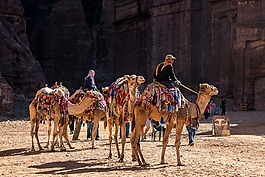 约旦,佩特拉,骆驼
