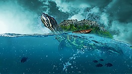 海,海洋,引導(dǎo)