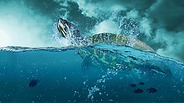 海,海洋,綠松石