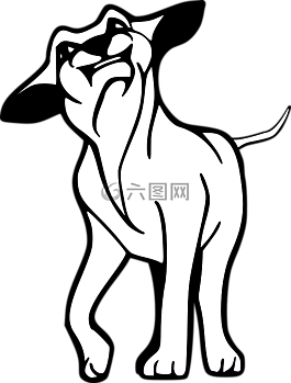 狗,哺乳動(dòng)物,寵物