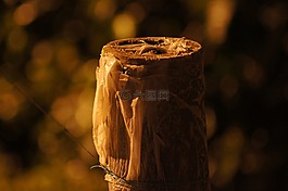 晚,景觀,芬蘭