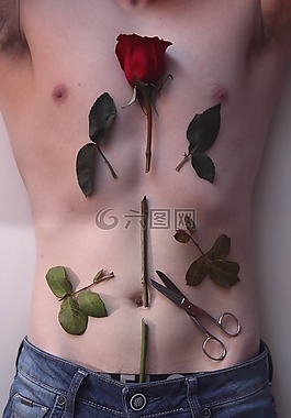 玫瑰,身體,男子